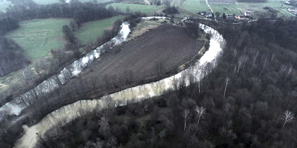 Les marais de Birkenau