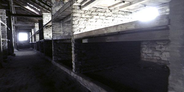 Le Bloc 25, antichambre de la mort (secteur BI a - Auschwitz II BIRKENAU)